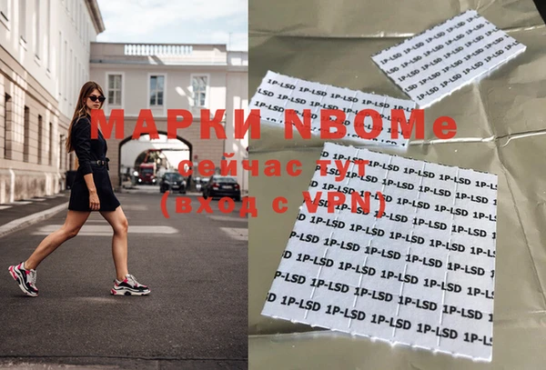 стафф Иннополис