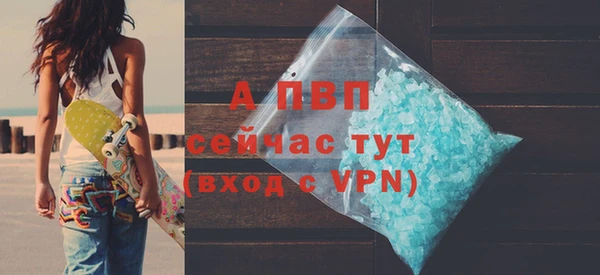 стафф Иннополис