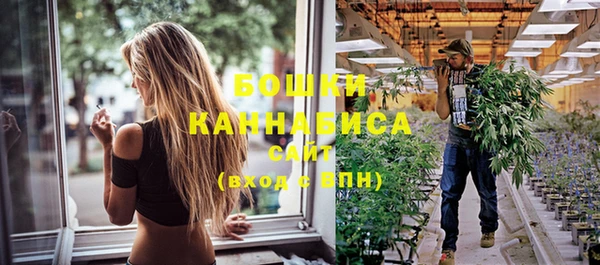 стафф Иннополис