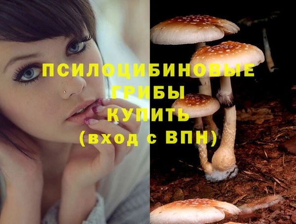 кокс Инта