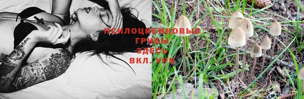 кокс Инта