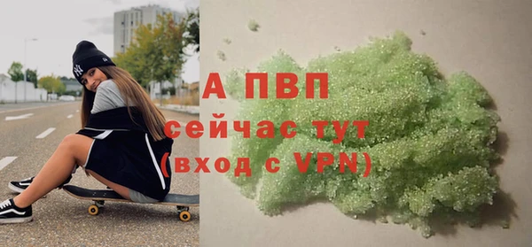 стафф Иннополис