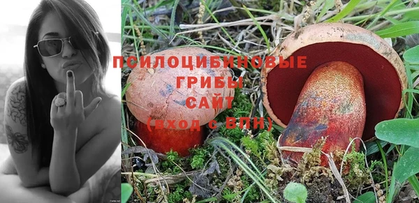 каннабис Каменка