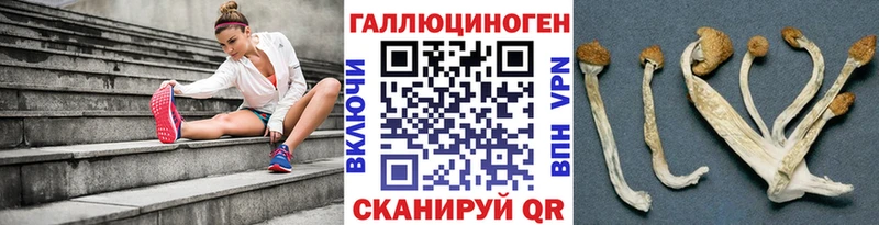 Галлюциногенные грибы Cubensis  Купить закладки  Феодосия 